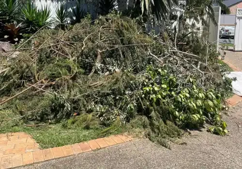 green horizon services pic Complete property maintenance